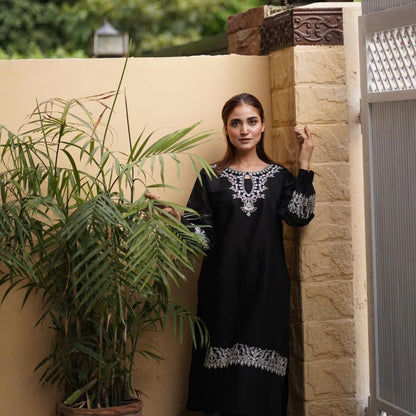 2-Piece Stitched Embroidered Dress Premium Quality