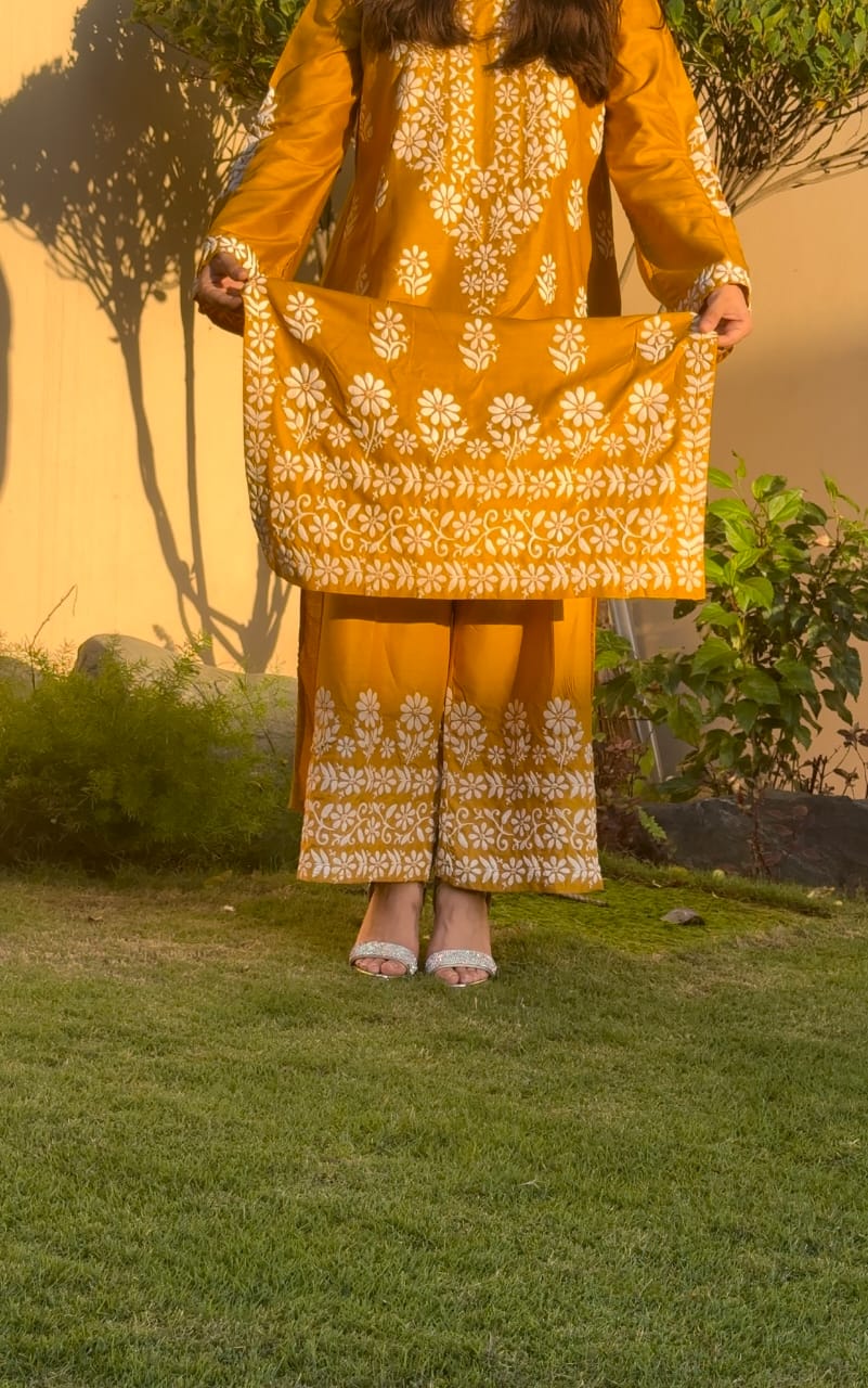 Indian Chicken Kari 2-Piece Stitched Long Embroidered Dress Premium Quality