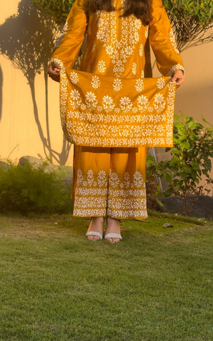 Indian Chicken Kari 2-Piece Stitched Long Embroidered Dress Premium Quality