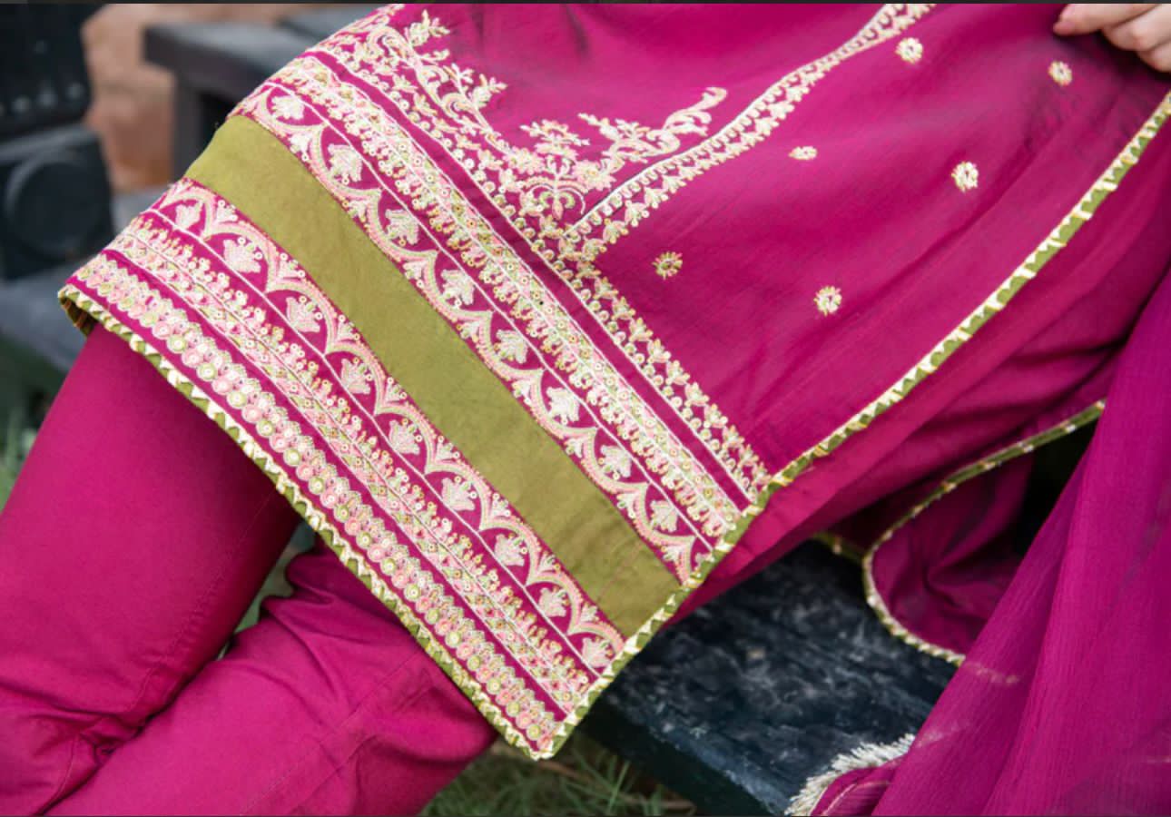 Premium Quality 3-Piece Stitched Long Length Organza Dress