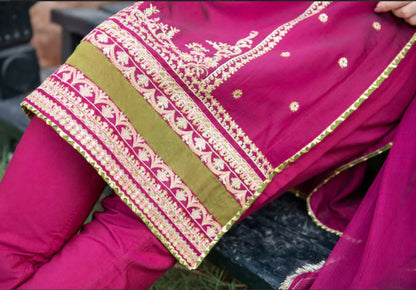 Premium Quality 3-Piece Stitched Long Length Organza Dress