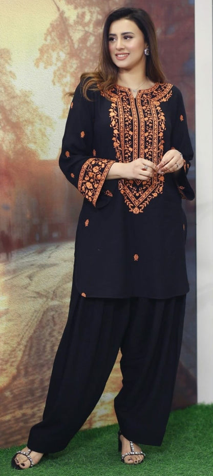 Premium Quality 2-Piece Stitched Embroidered Dress