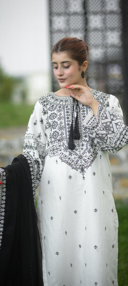 Premium Quality 3-Piece Stitched Long Length Dress