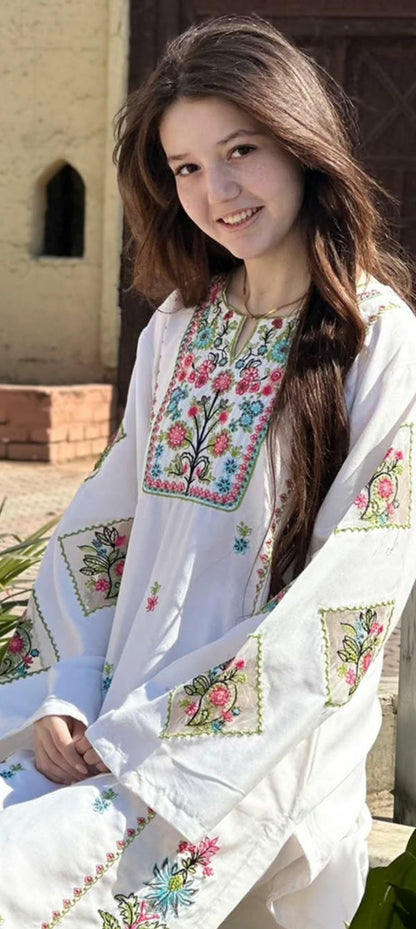 Long Length 2-Piece Stitched Embroidered Dress Premium Quality