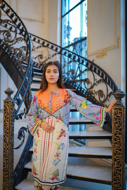 Premium Quality 2-Piece Stitched Long Length Printed Dress