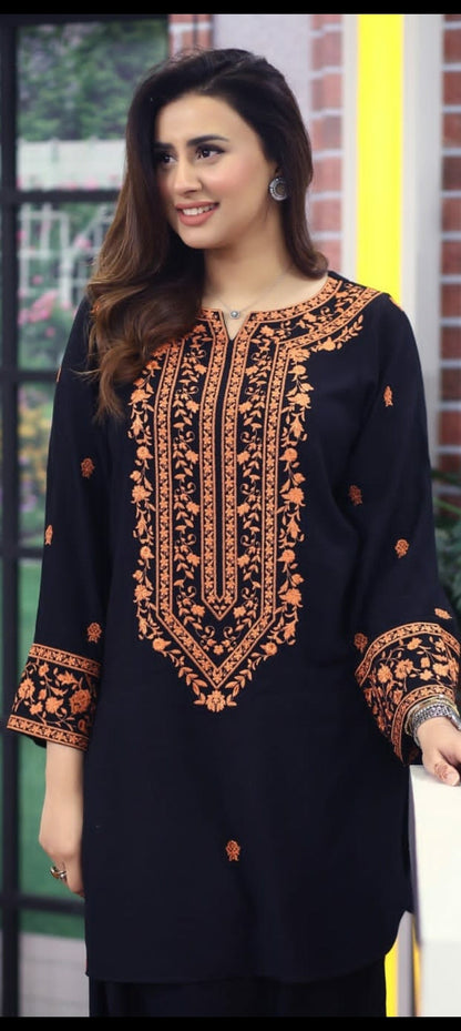 Premium Quality 2-Piece Stitched Embroidered Dress