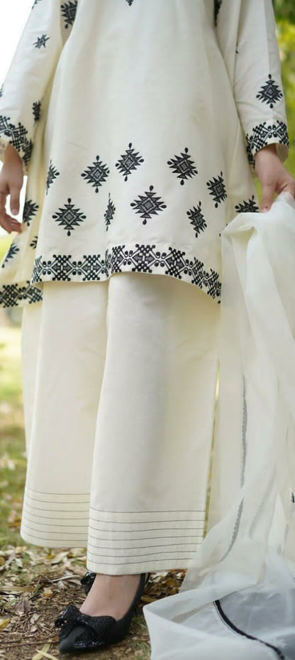 3-Piece Stitched Embroidered Dress Premium Quality