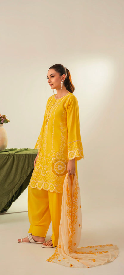 PREMIUM QUALITY 3-PIECE STICHED CUTWORK STYLED DREES