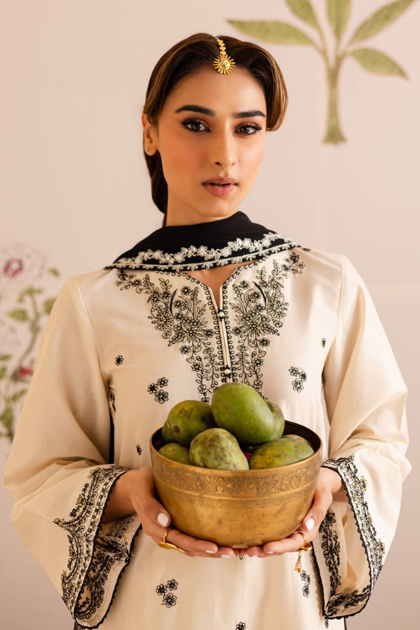 PREMIUM QUALITY 3-PIECE STITCHED COTTON EMBROIDERED DRESS