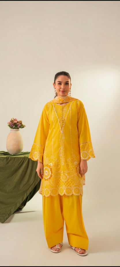 PREMIUM QUALITY 3-PIECE STICHED CUTWORK STYLED DREES