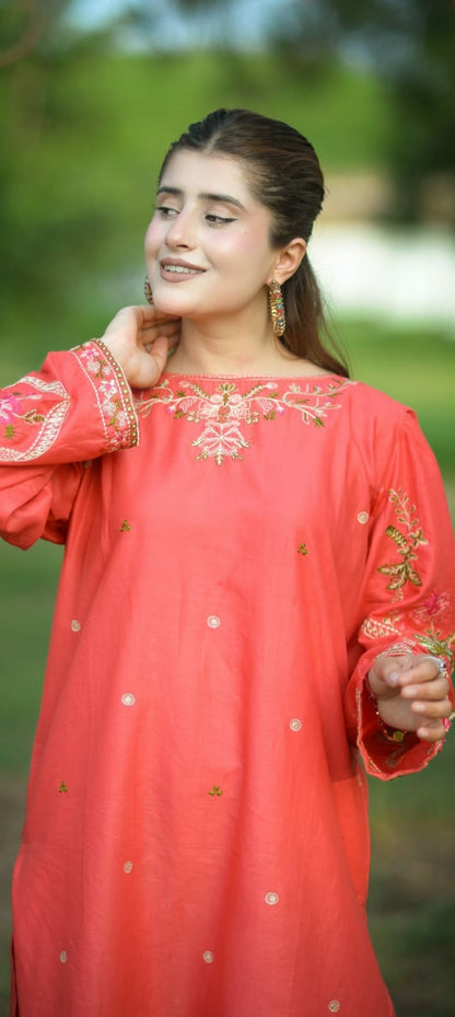 2-Piece Stitched Embroidered Dress Premium Quality