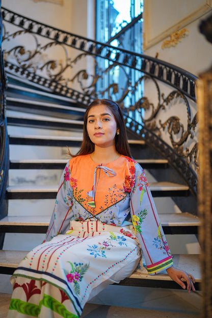 Premium Quality 2-Piece Stitched Long Length Printed Dress