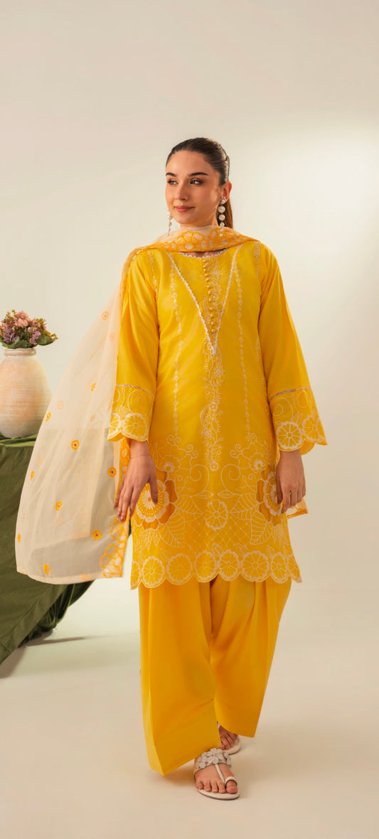 PREMIUM QUALITY 3-PIECE STICHED CUTWORK STYLED DREES